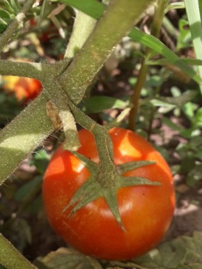 ������� ��������� ��� ����: ����� �� ���������� ������?