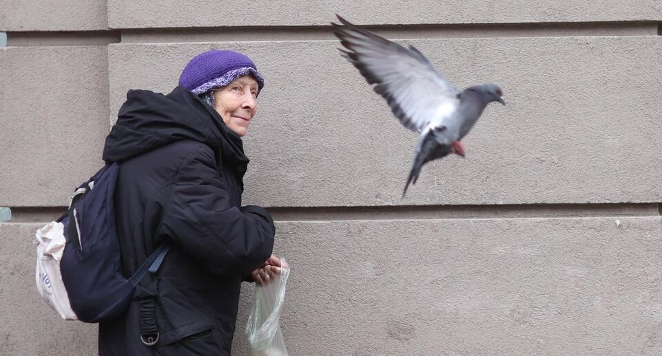 Как безработные предпенсионеры могут досрочно выйти на пенсию?