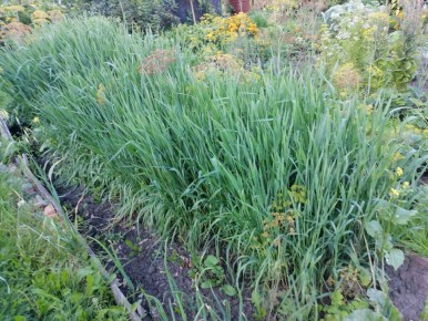 ������� ������ ��������� � ��������: ��� � ����� �������� ����� ��� �������