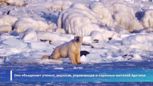 �� ������� ����������� IX ������������� ����������� ���������� ������ ��������