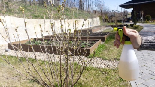 ��� ���������� �������� � �������� ������ �� ���������