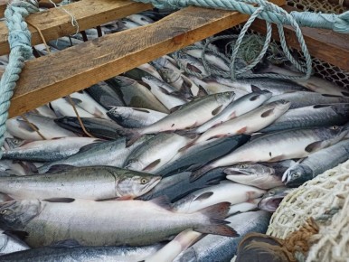 ���������� ��������������� ������ ������ �������� �� 2026 ��� � ��������� ���������� ������