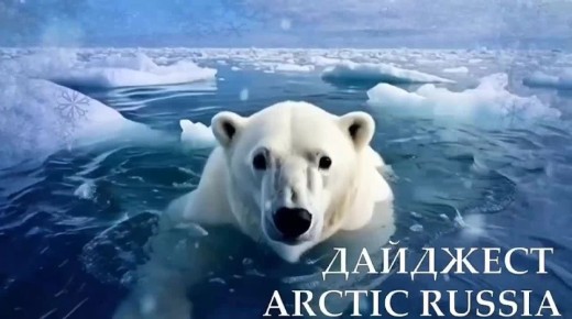 ����������� ��������: ������� �� ������