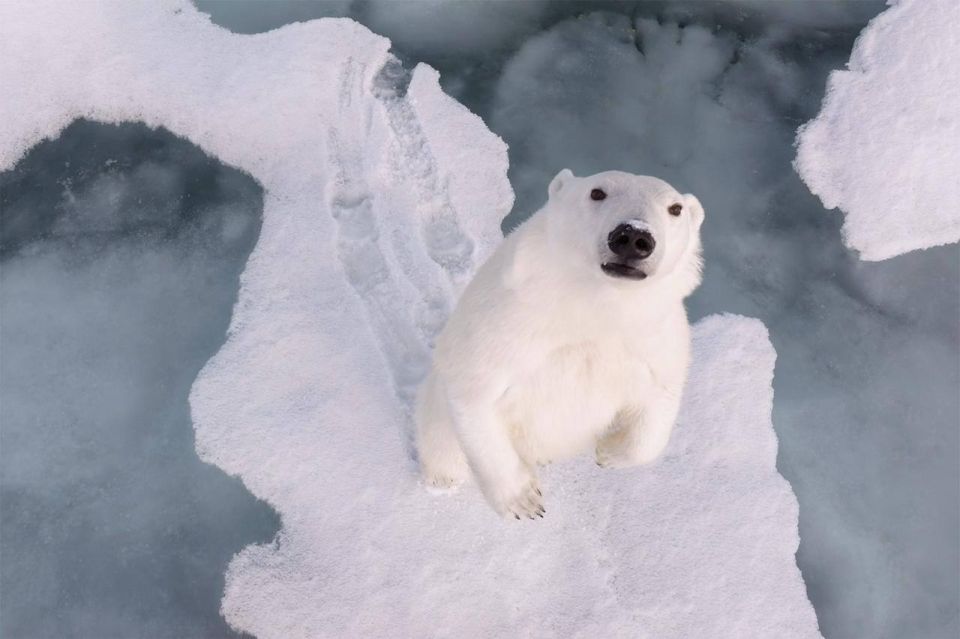 Тот самый момент, когда лучше любоваться с экранов