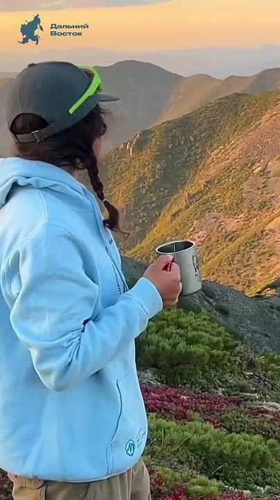 Сильные, красивые, вдохновляющие…