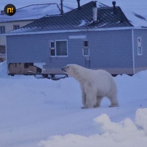 ���� ��������. � ��������� ���� ��������� �������-����