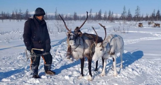 Говорят, можно вечно смотреть на три вещи: огонь, воду и