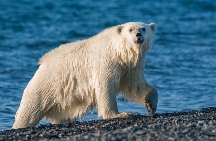 ������������ ����������� ������� ��������� �� ������� ����������� 50 ���