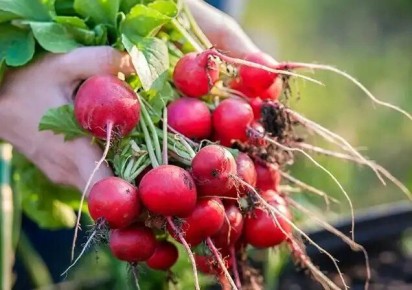 ��� ��������� ������ ������� �����, ����� �������� ��������