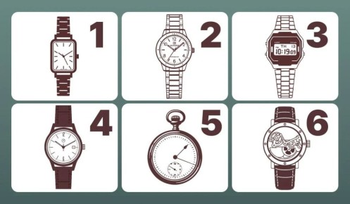 ��� ������� ����: ���� �� �������������������