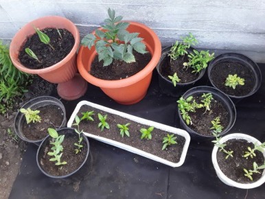 ����� � ���������� � �������: ������ ����������� �� ������