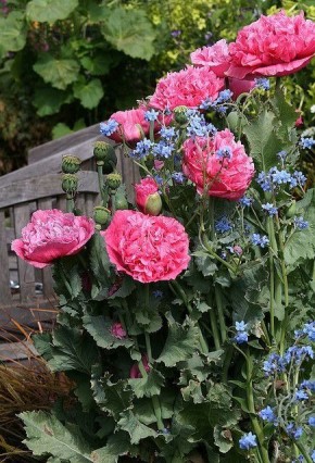 ��������� �������: ��� ��� ������� ������ �������