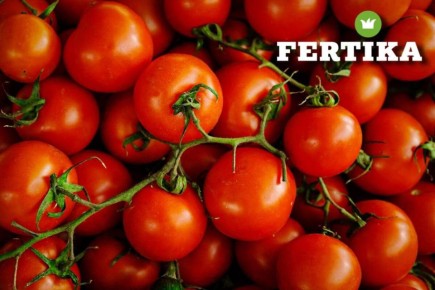 ������� ��������� ����������� �������: �� ������� �� �������