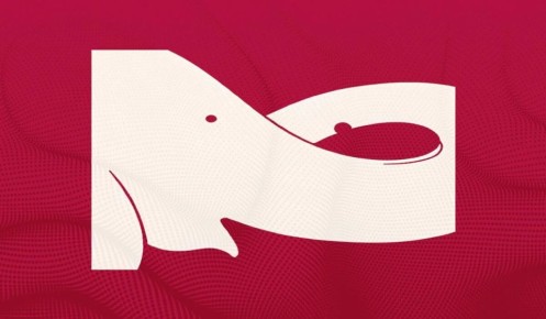 Какой тип интеллекта у вас? Пройдите визуальный тест и узнайте