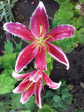 �������� � �������: ����� ����������������� �������� ����� ���� � ����