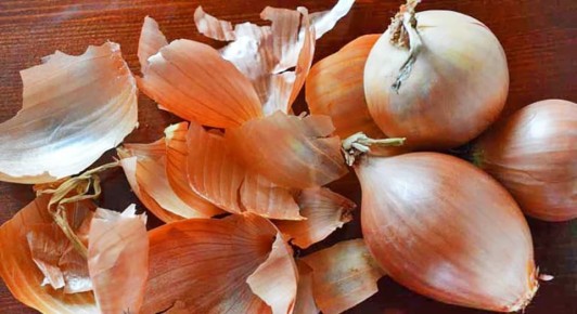 Сила луковой шелухи: как облегчить жизнь на даче