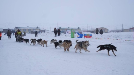 «Надежда – 2026». В округе завершился прием заявок для участия в гонке на собачьих упряжках «Надежда – 2026». Всего заявились 14 гонщиков, и все они из Чукотского района