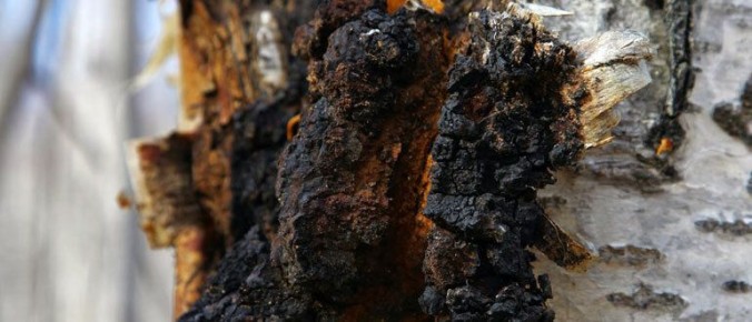 ����: ��������� ���� ��� �������� � ������������