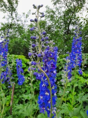 ����������: ��������� ����� ��� ������ ����