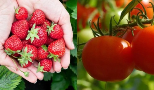 ���������� �� ����� �������: ����� �������� �� ����� ������ ����� ��������