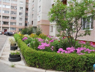 Как создать клумбу у многоквартирного дома и избежать штрафов в 2026 году