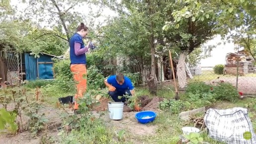 Как преобразить заброшенный участок: два проверенных метода