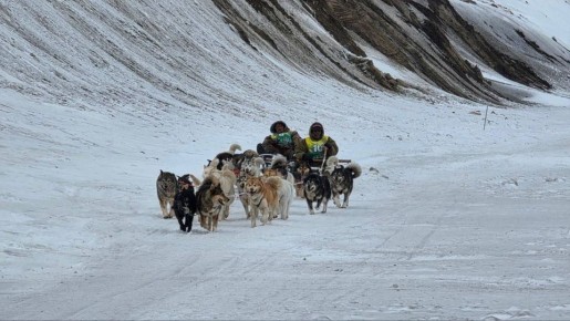 ��������� ����� �� �������� �������� ��������