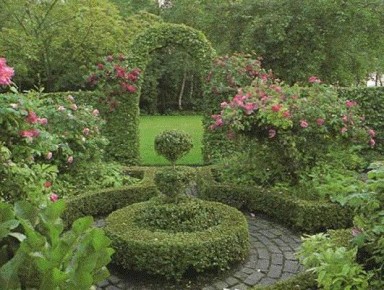 Топиарное искусство: как создать живую изгородь своей мечты