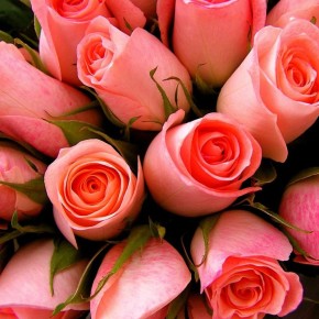 ������ ���� �������: ������ �� �������������� � ������������