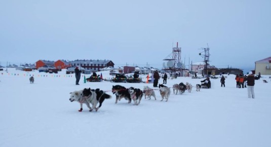 Гонка на собачьих упряжках «Надежда – 2026» в дни с 29 по 31 марта прошла три этапа Инчоун - Уэлен - Лаврентия - Лорино