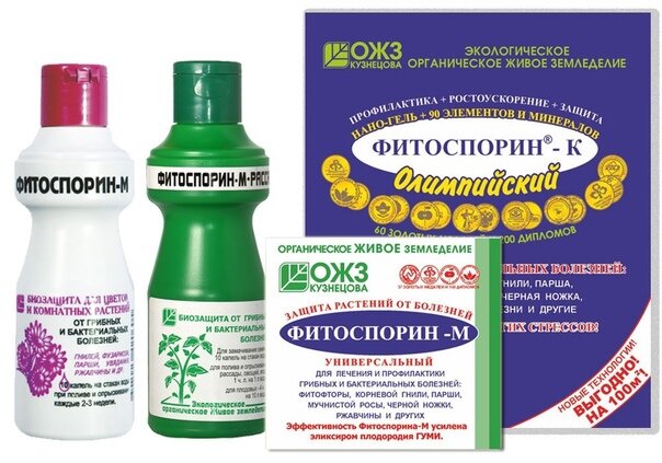 Фитоспорин: друг или враг? Узнайте секреты эффективного применения
