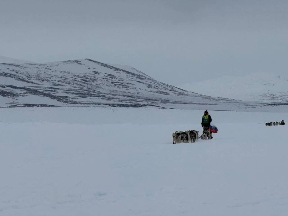 �������� ���� ����� �������� � 2026�