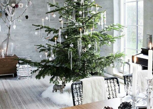 ��� ��������� ������ ������� ������ ����� ����������