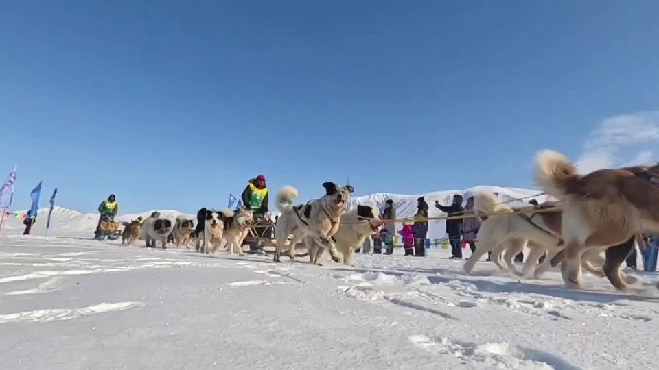 ����� 300 �� ���������� ��������� ����� "�������-2026�