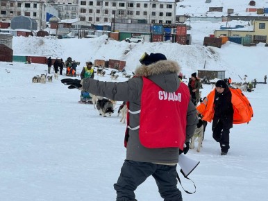 Шестой этап гонки на собачьих упряжках «Надежда - 2026»