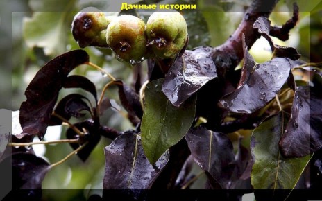 ������� ��������� ������� ������: ������ ��� �������� � ������� ���������