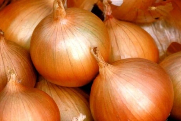 Лук Борец: простая находка для урожайного участка
