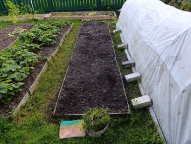 ������� ��������� ������ �������: ��� �������� ������ �� �������� ��������