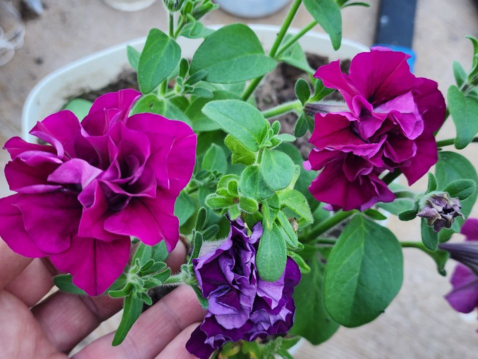 ������� � ����� ��� ������: 10 ������ ��� ������������� ������� ��������