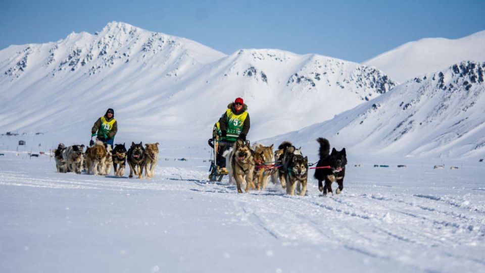 ��������� �����. ��������� ��������