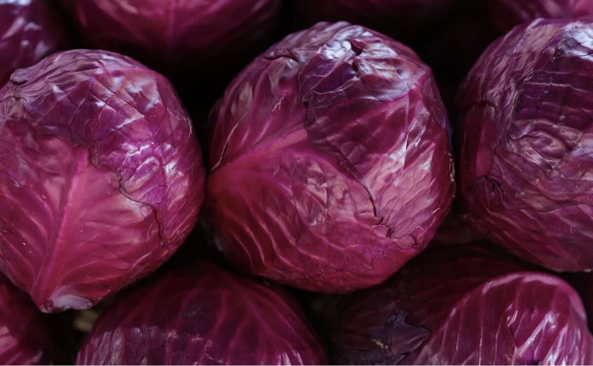 Краснокочанная капуста: секреты успешного урожая в вашем огороде