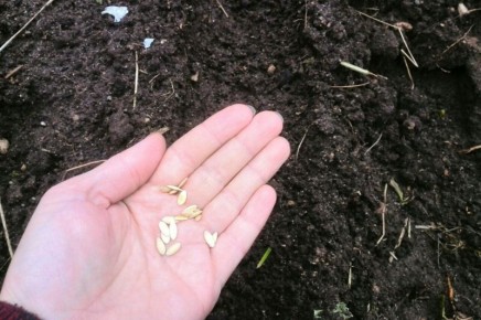 ����� � ��� ����� ������ � �������: �������� ������ �� ������