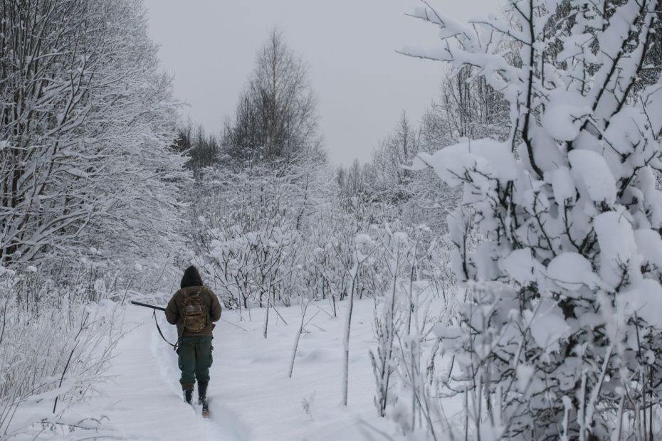 ������� �������� ��������� ������ ����: ��� ��� ������ ��� �������?