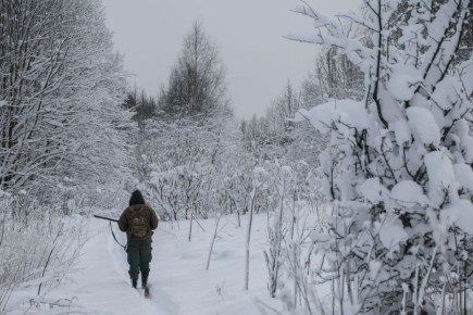 Госдума одобрила изменение границ ООПТ: что это значит для природы?