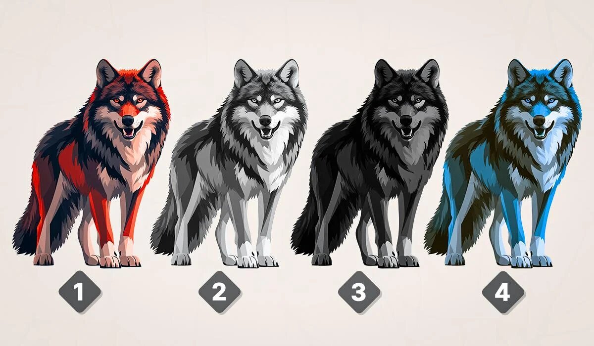 Как понять, что пора уединиться: психологический тест на самоощупь