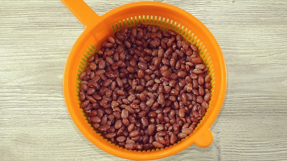 ������ ����� � ������� � �������: ������������ ������