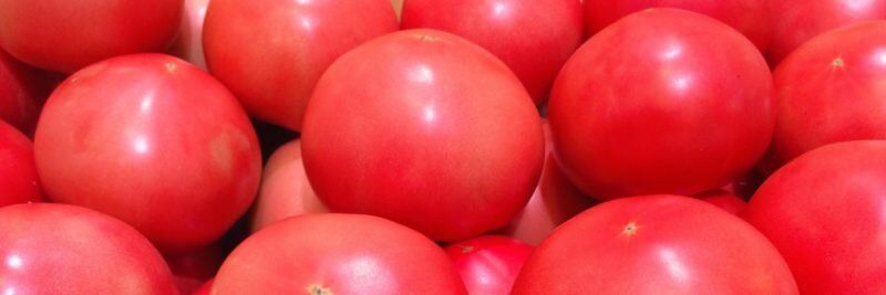 ����������� ��������� ������ F1: ������� ��������� �����������