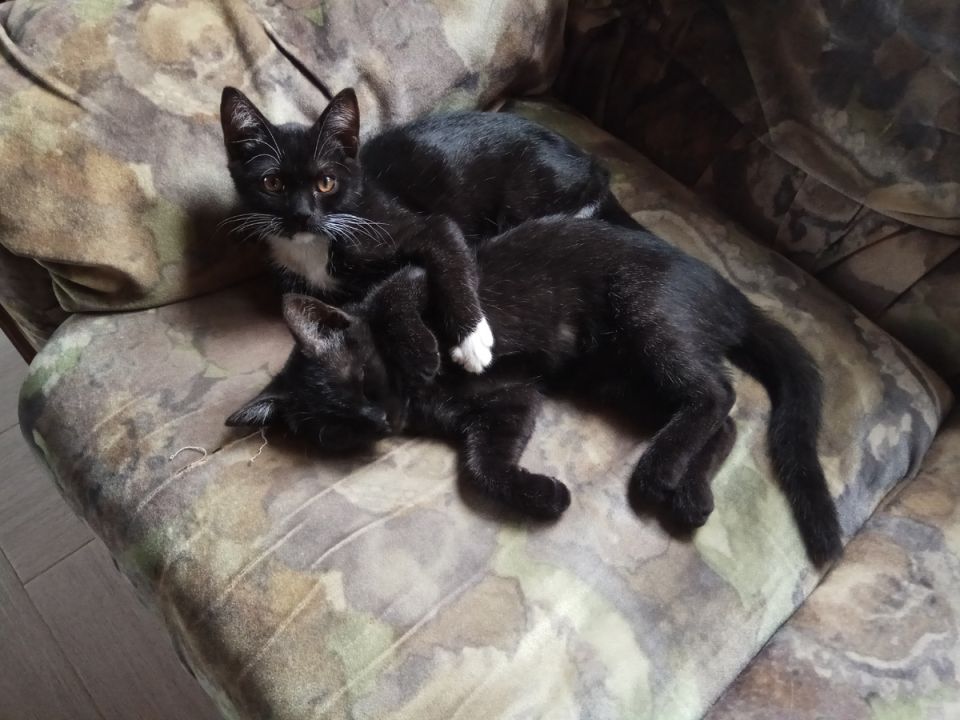 ��� �� �������� ������� ��-�� �������������� �����: �������� ������