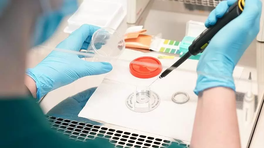 Совет безопасности предлагает расширить геномную регистрацию для эффективного розыска пропавших