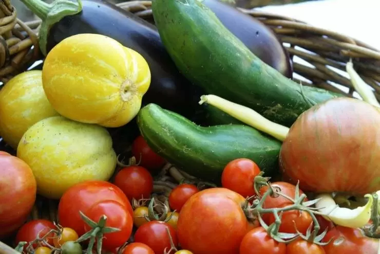 Как собрать урожай вне зависимости от капризов погоды